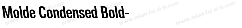 Molde Condensed Bold字体转换